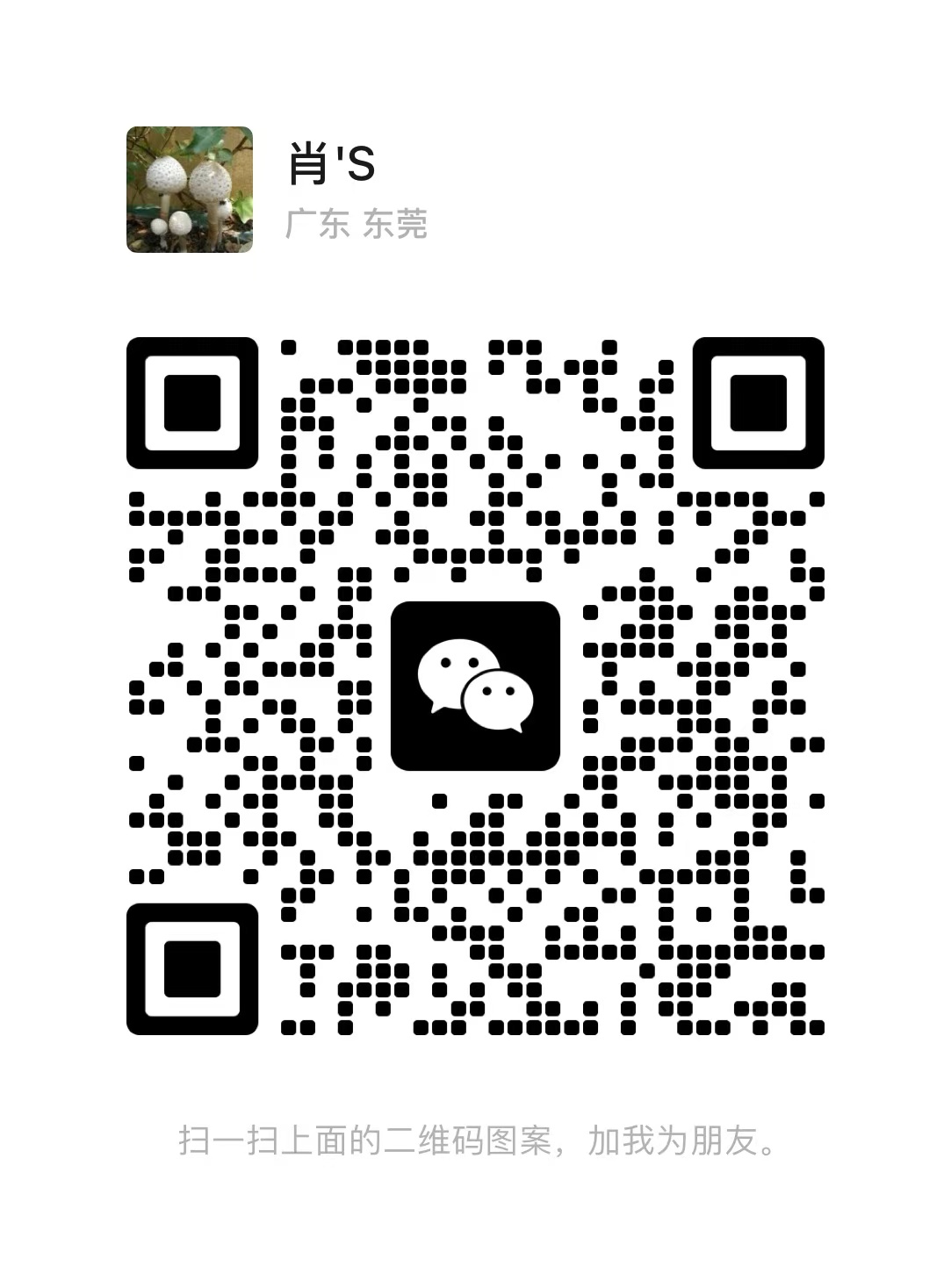 Wechat